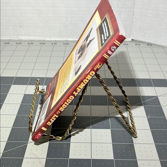 Red and Gold Grumpy Cat book - Picture 3 of 9